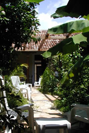 The sun lounge is surrounded by lovely vegetation